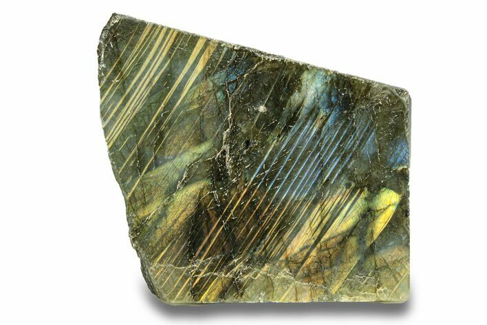 Single Side Polished Labradorite Slab - Madagascar #278215